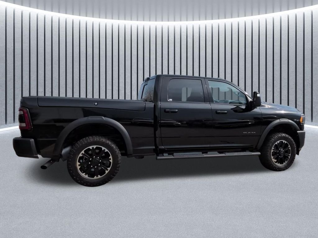 Used 2024 Black Ram Rebel image 5
