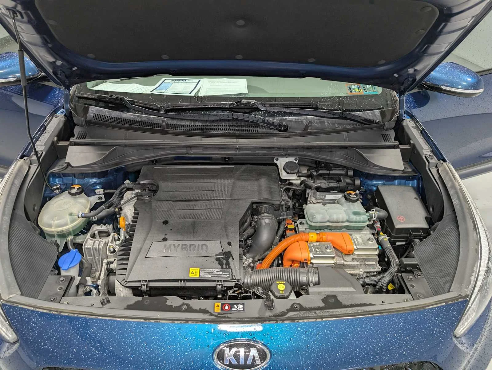 Used 2020 CERULEAN Kia EX Premium image 11