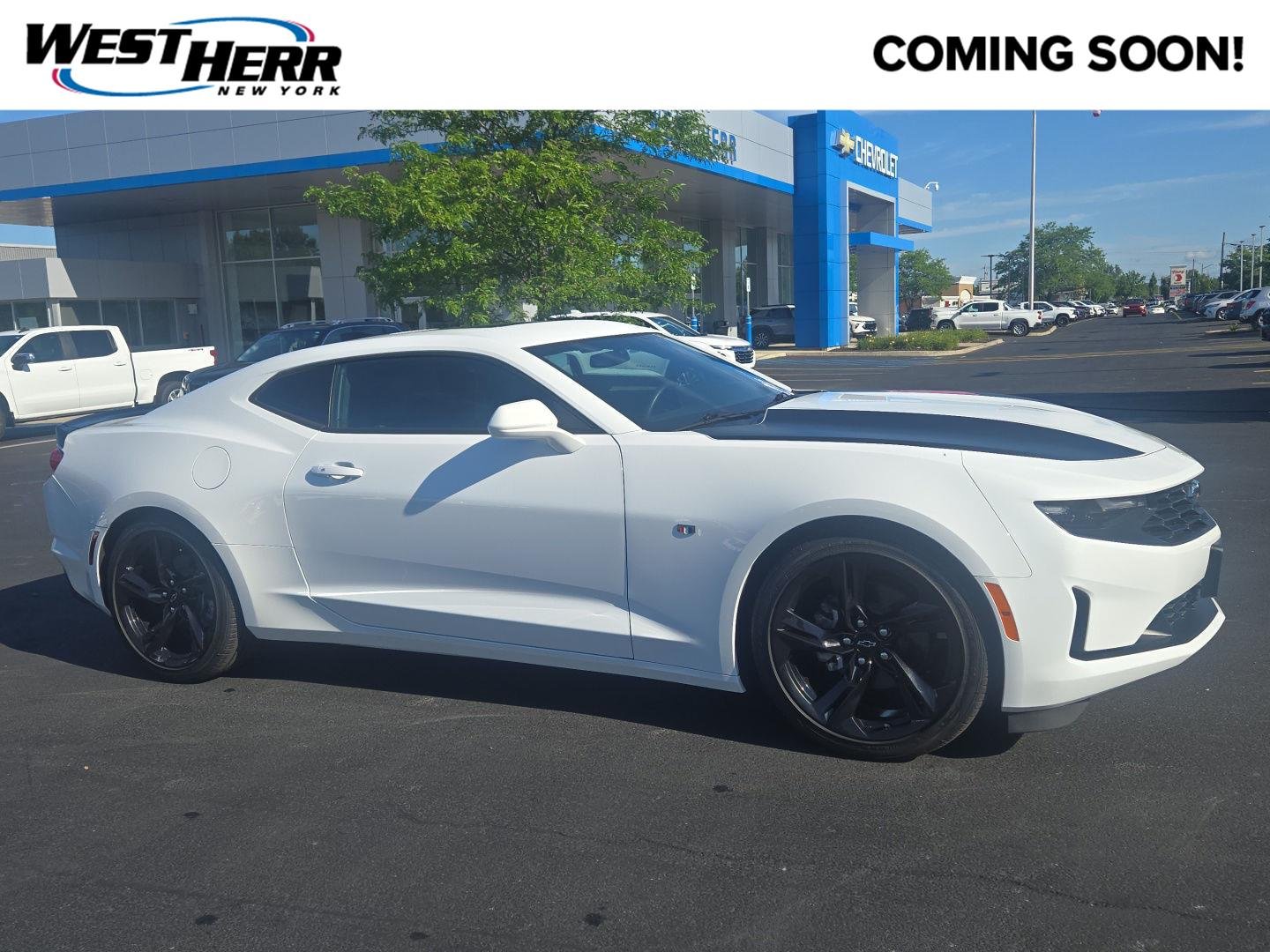 Used 2024 Summit White Chevrolet 2LT image 1