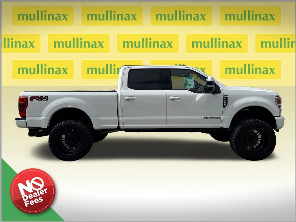 Used 2020 White Ford Platinum image 2