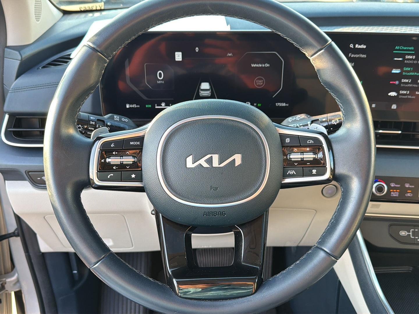 Used 2025 Ivory Silver Gloss Kia SX image 17