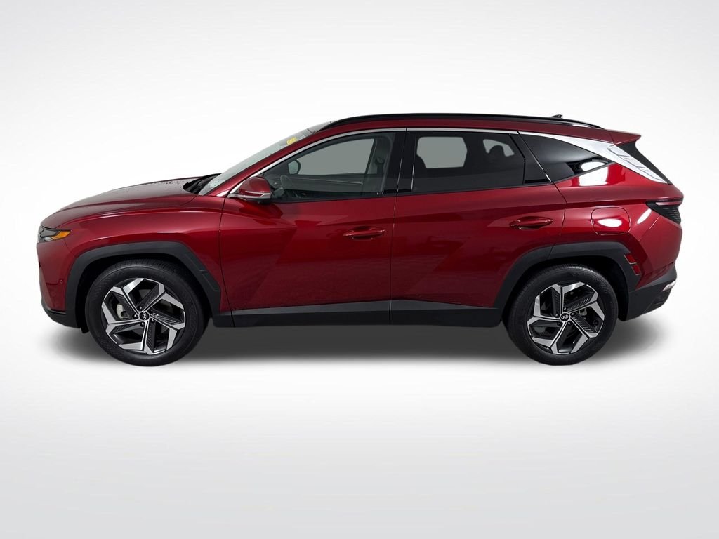 2024 Hyundai Tucson Limited - Photo 8