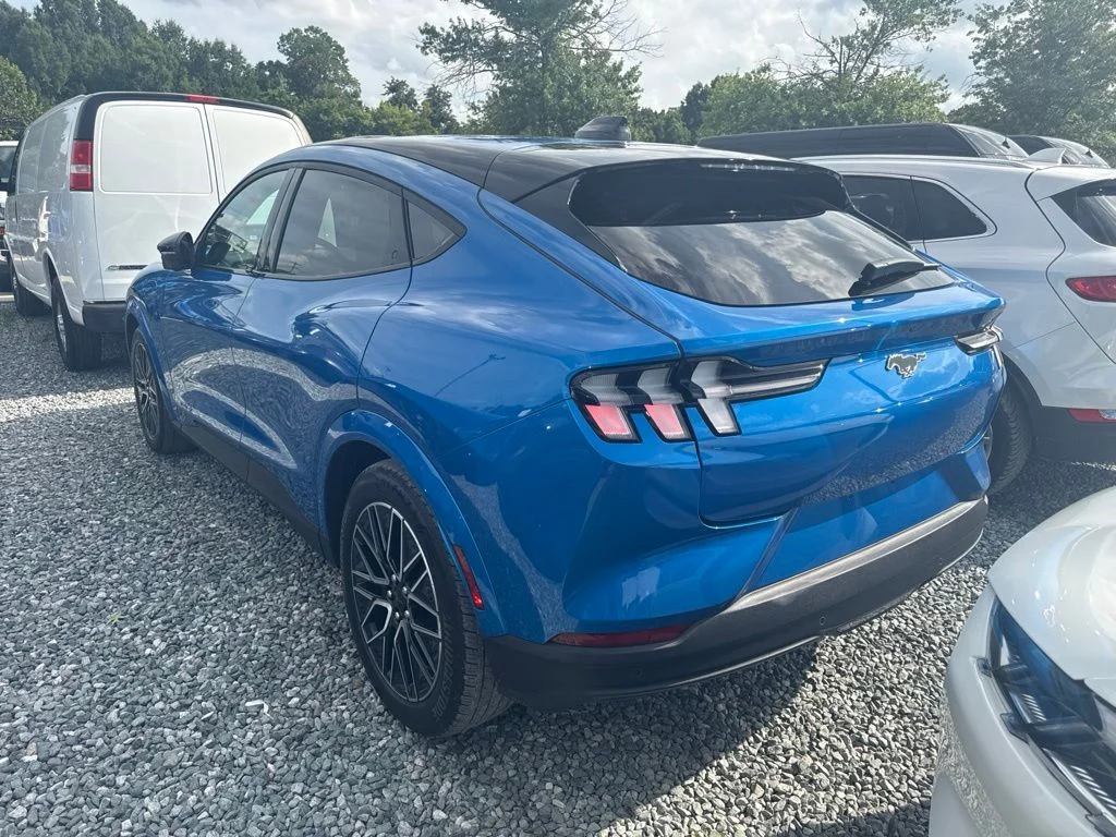 Used 2025 Blue Ford Premium image 4