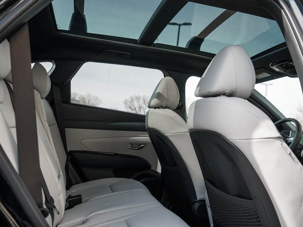 New 2026 Serenity White Pearl Hyundai Limited AWD image 12