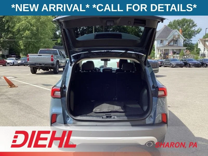 Used 2024 Blue Ford Platinum image 11