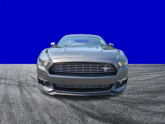 Used 2016 Magnetic Metallic Ford EcoBoost Premium image 9