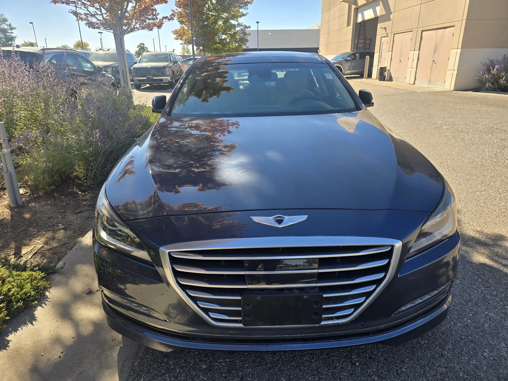 Used 2015 Montecito Blue Hyundai 5.0L image 8