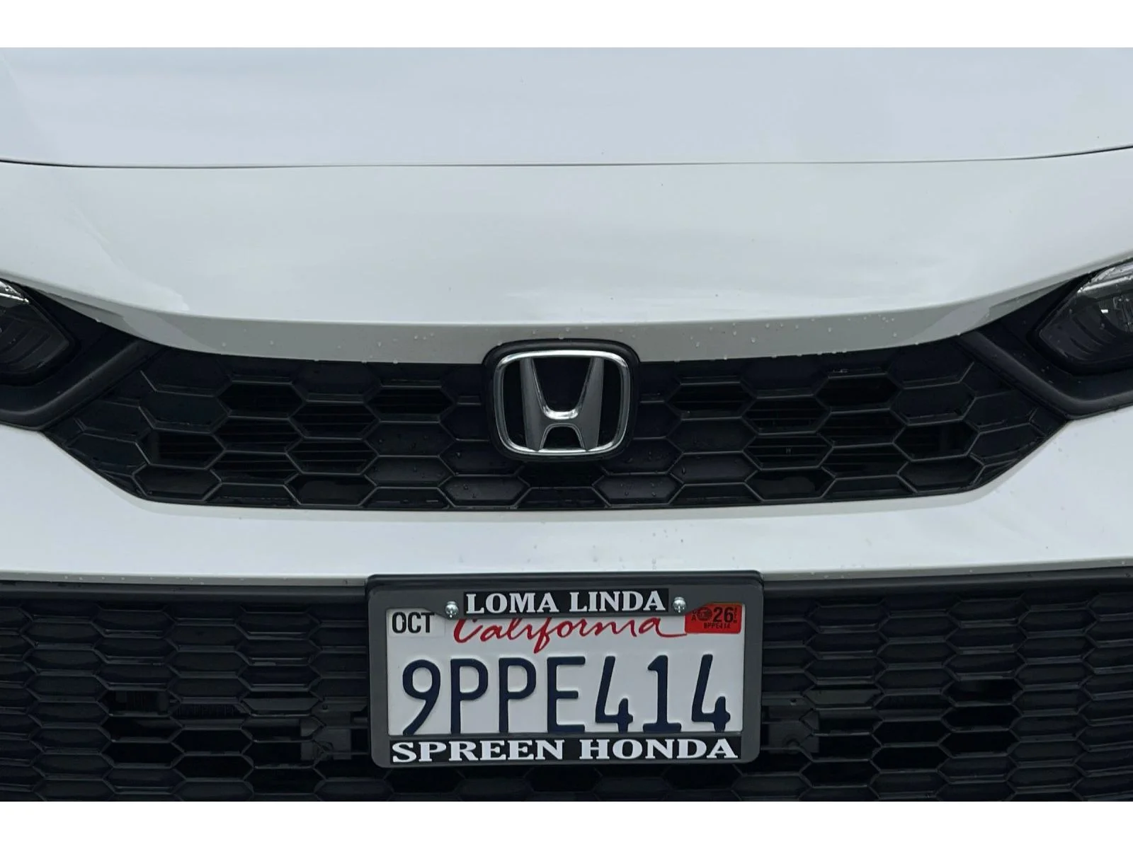 Used 2025 Platinum White Pearl Honda LX image 13
