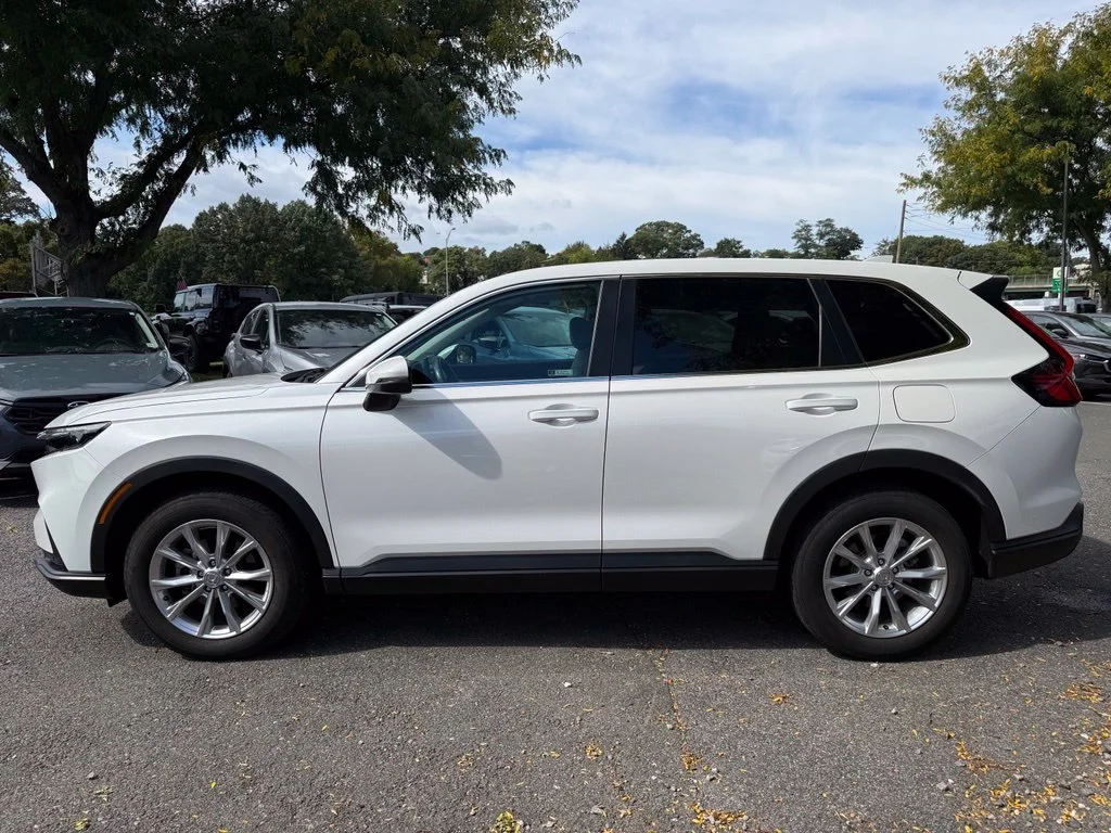 Used 2024 Platinum White Pearl Honda EX-L image 9