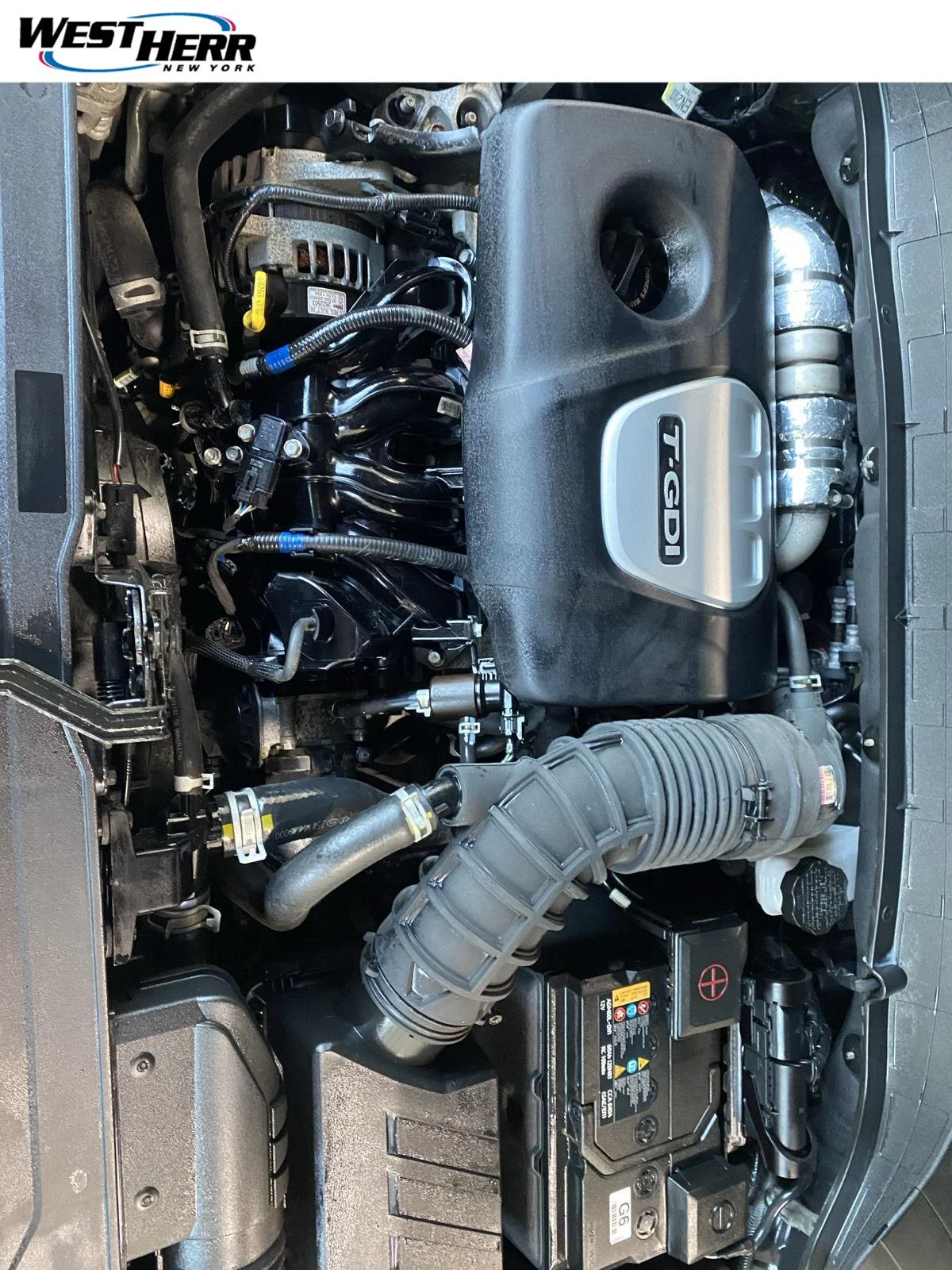 Used 2019 Ultra Black Pearl Hyundai Ultimate image 10