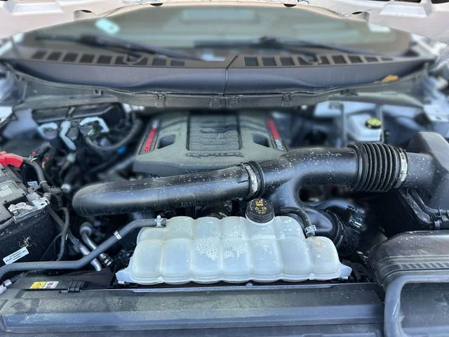 Used 2025 White Ford Raptor image 29