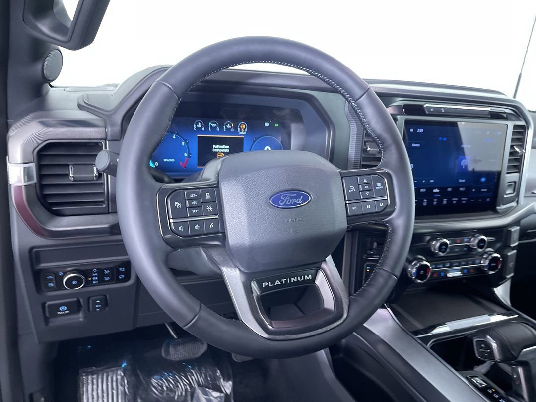 2025 Ford F-150 Platinum - Photo 16