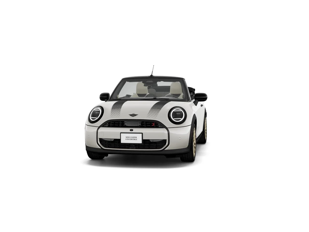 New 2027 Nanuq White Metallic MINI ICONIC image 3