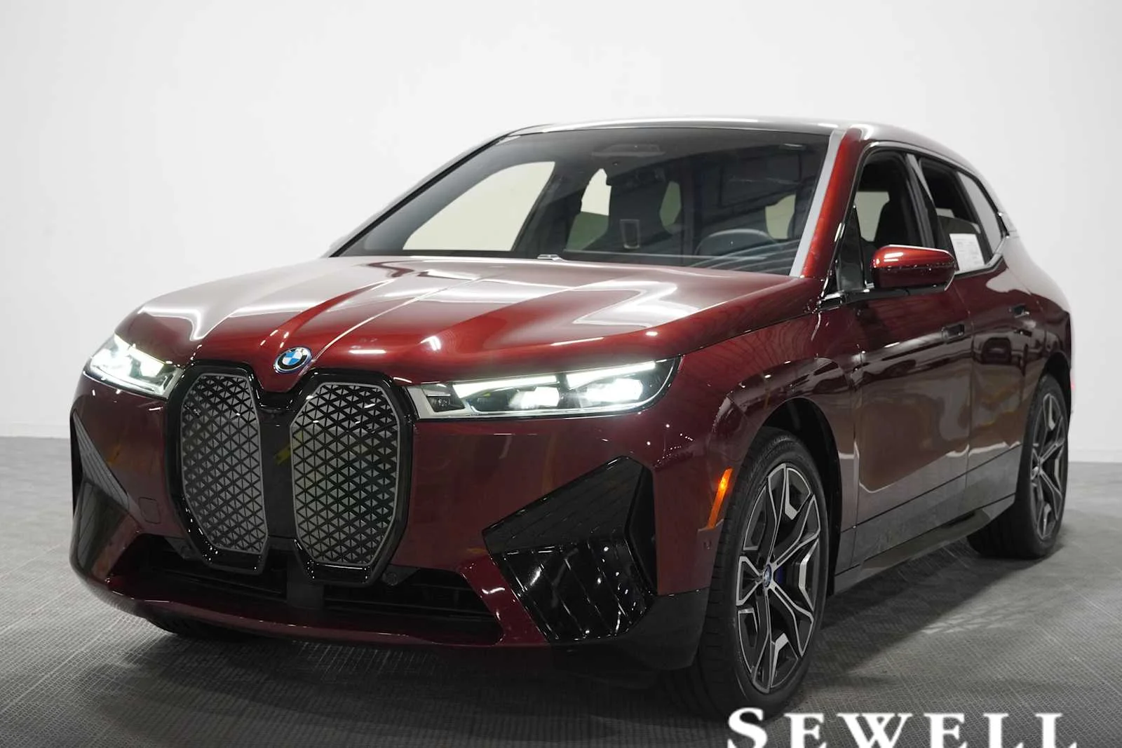2024 BMW iX
