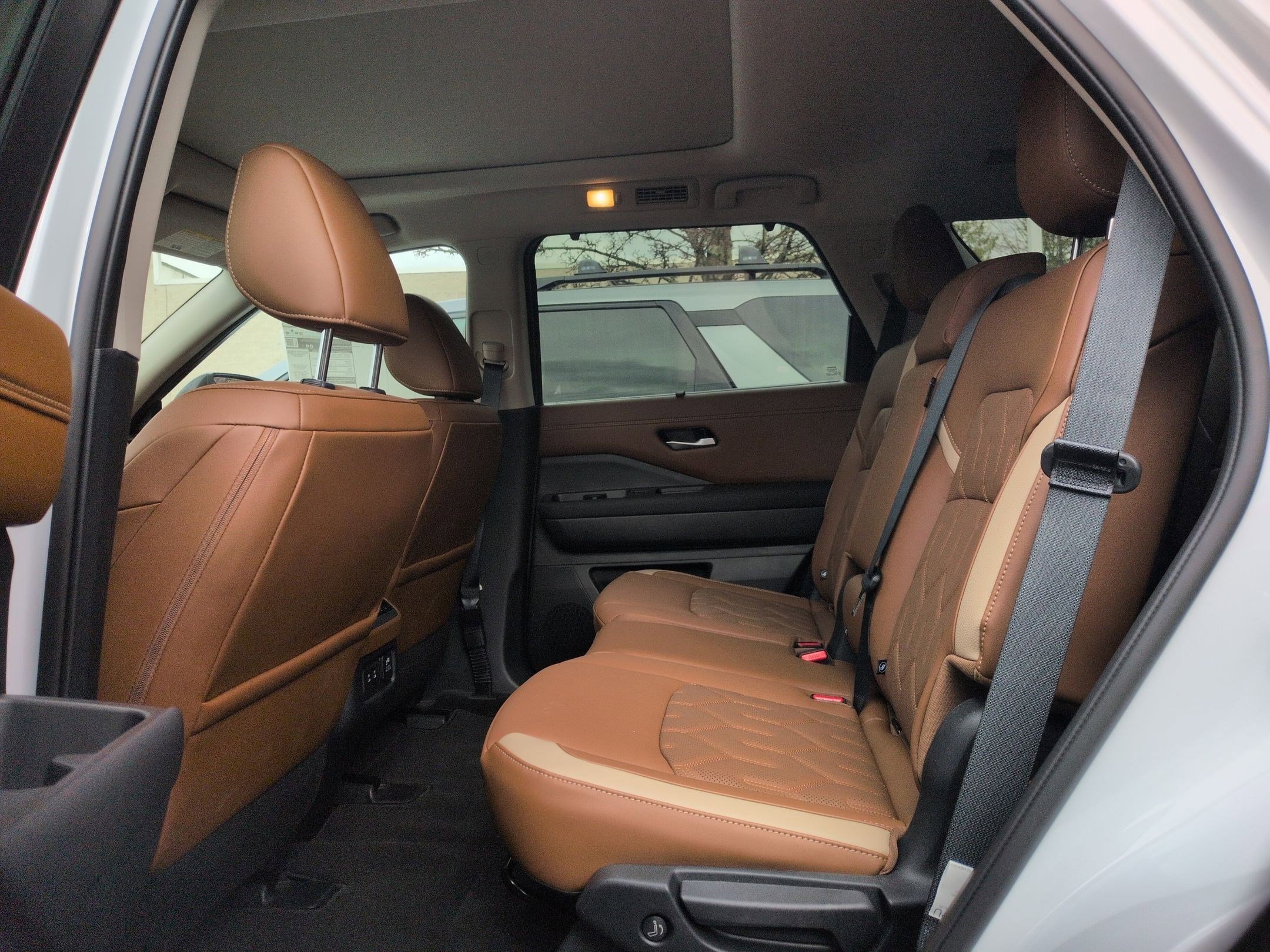 New 2026 Everest White Pearl TriCoat / Super Black Two-tone Nissan Platinum image 15