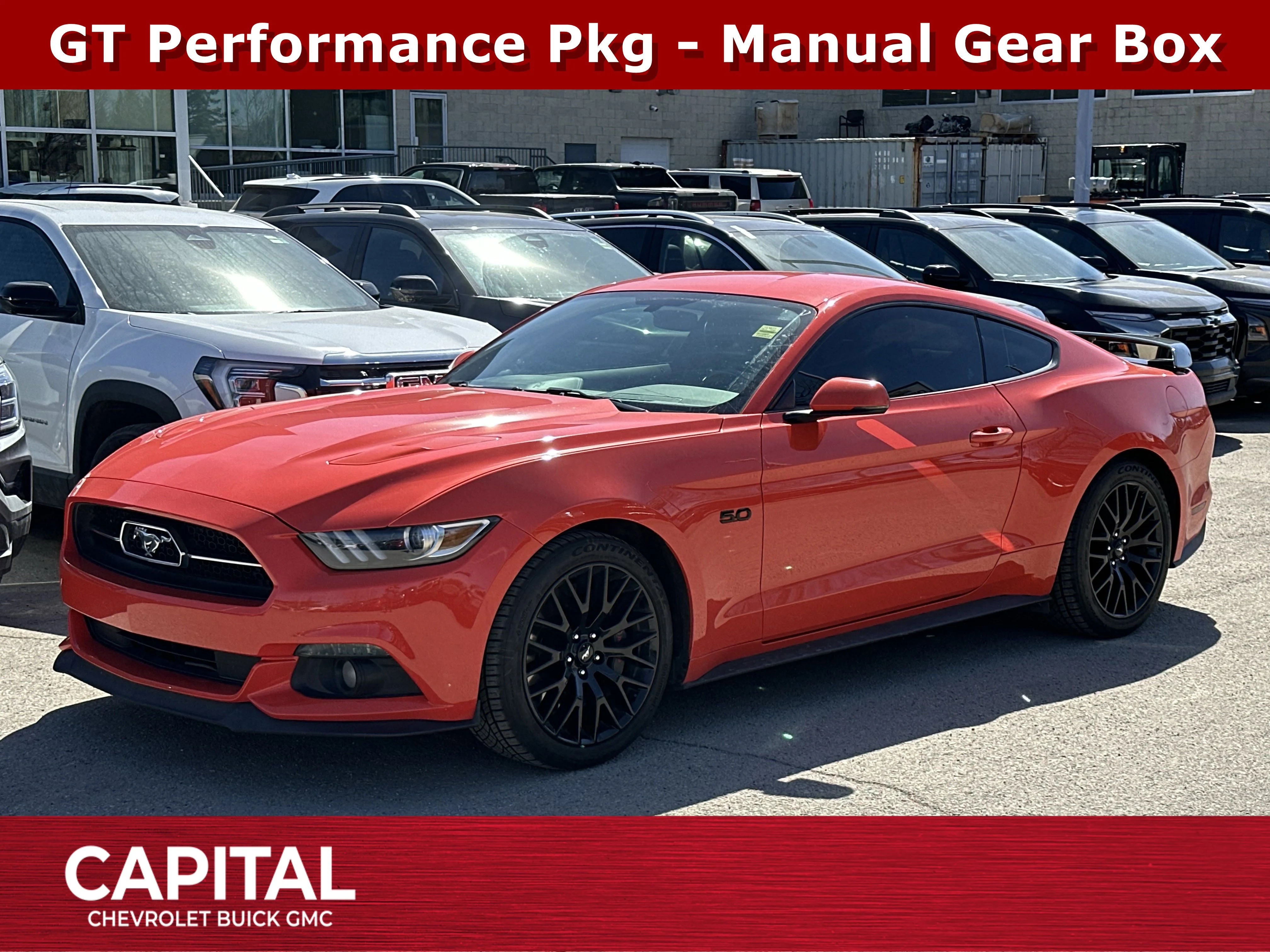 Certified Used 2015 orange Ford GT Premium image 1