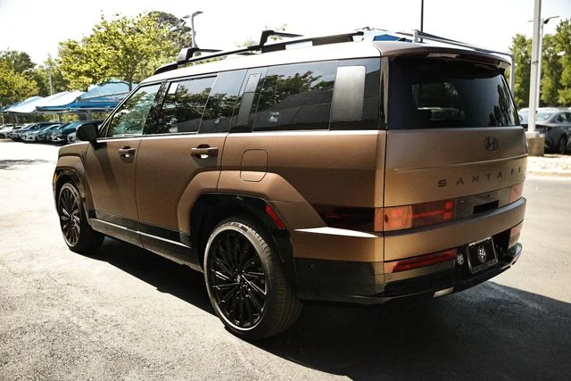 Used 2025 Earthy Brass Matte Hyundai Calligraphy image 11