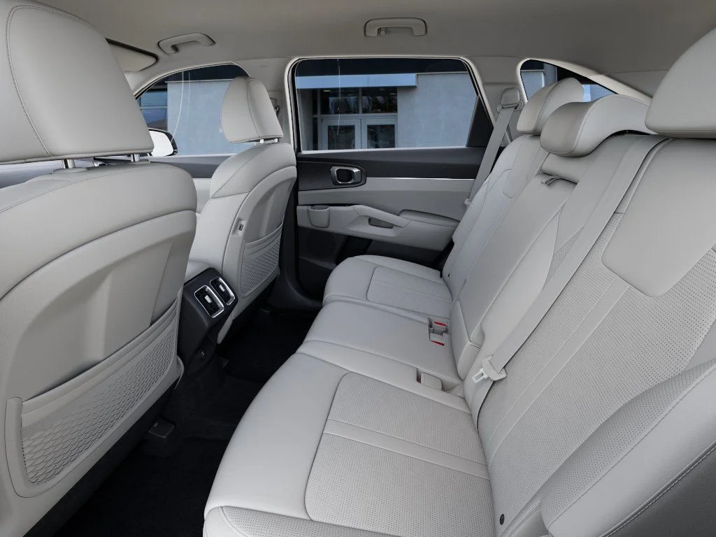 New 2026 Panthera Metal Kia EX image 18