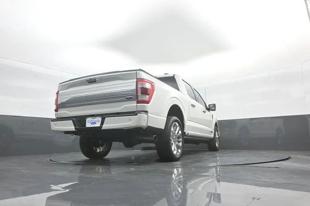 Used 2023 Star White Ford Limited image 40