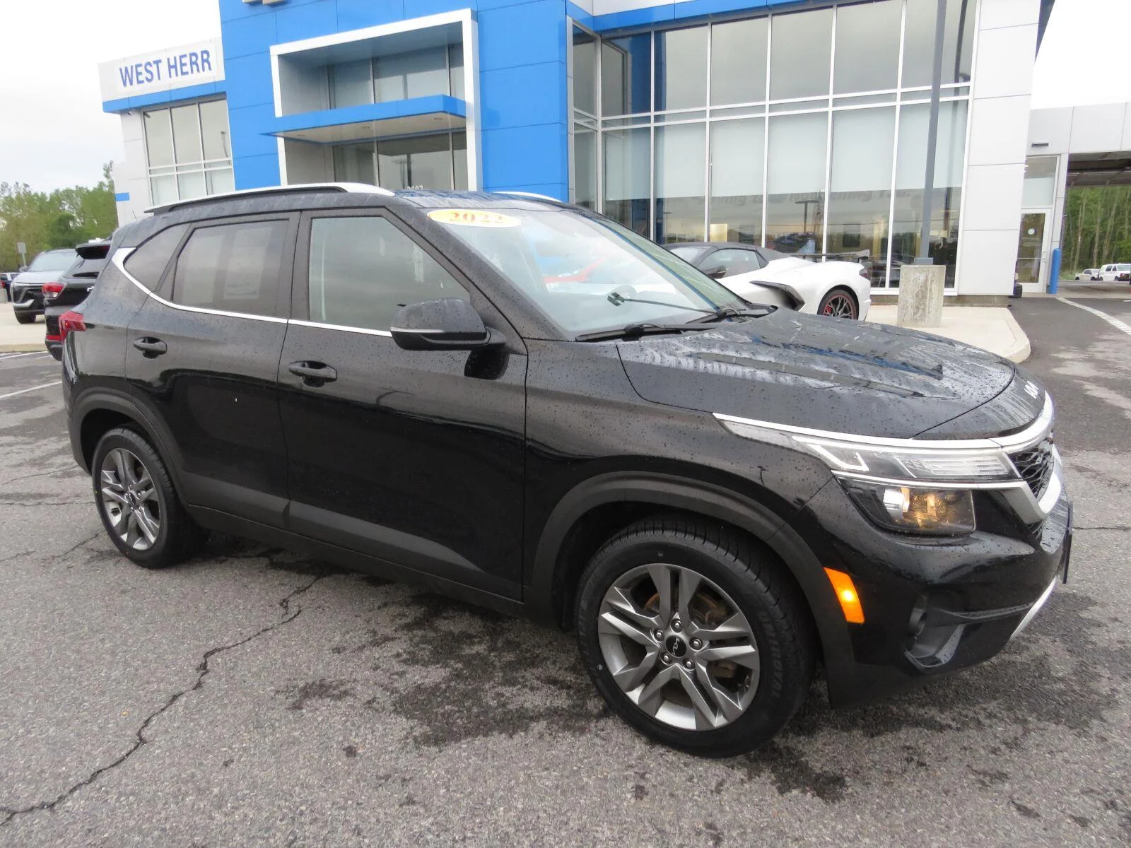 Used 2022 Cherry Black Kia S image 5