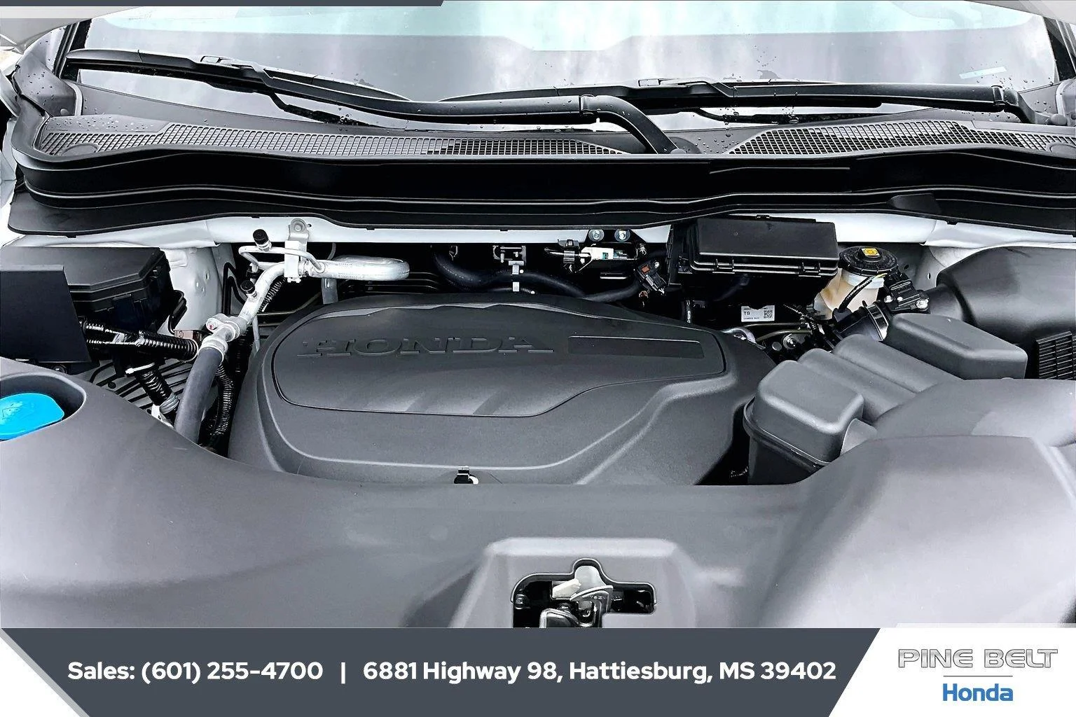 New 2026 Platinum White Pearl Honda Black Edition image 10