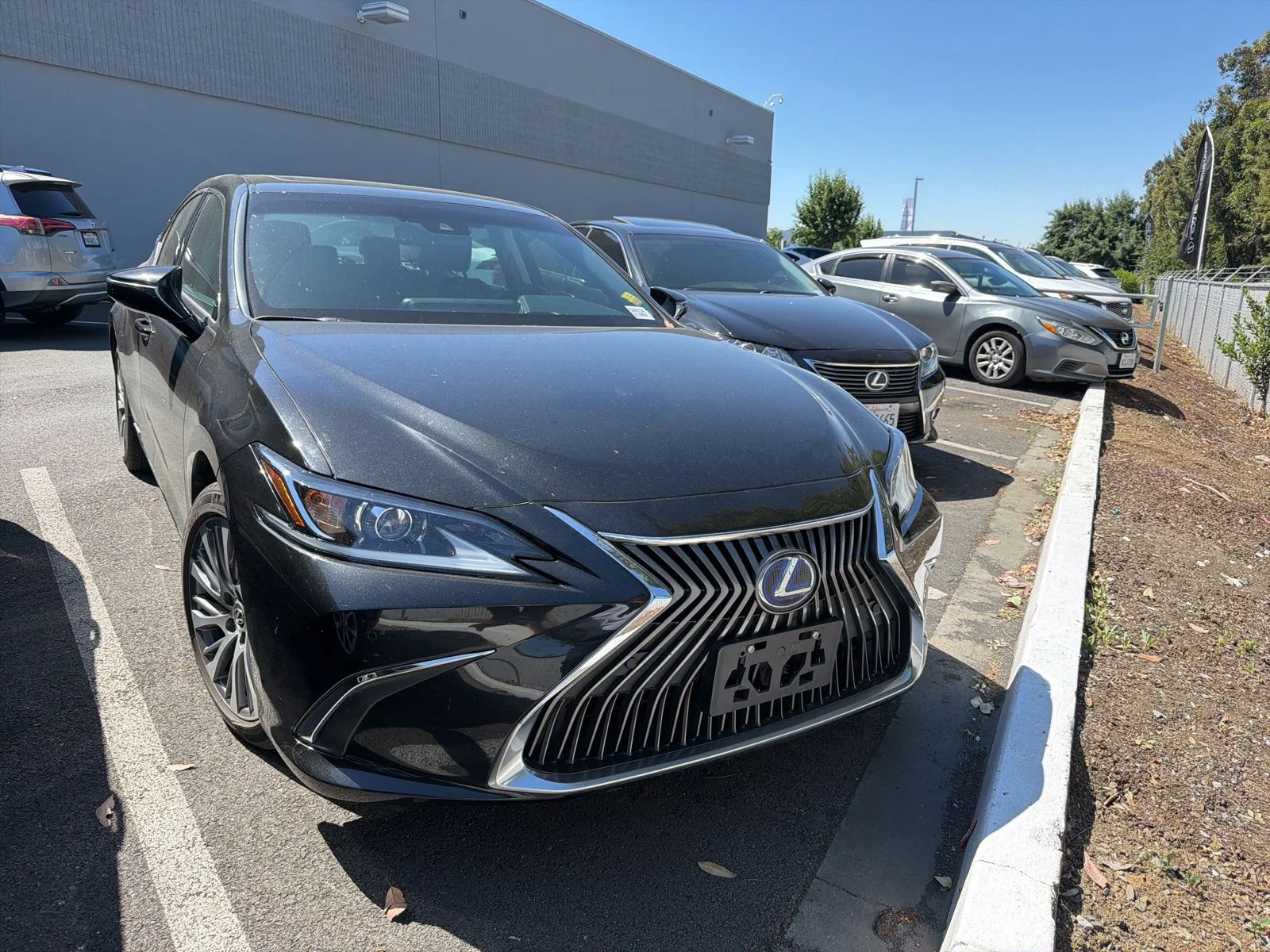 2021 Lexus ES 300h 300h's photo
