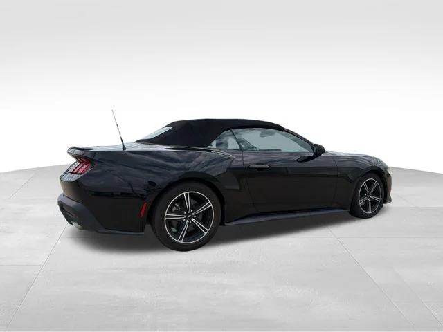 Used 2024 Black Ford EcoBoost Premium image 8