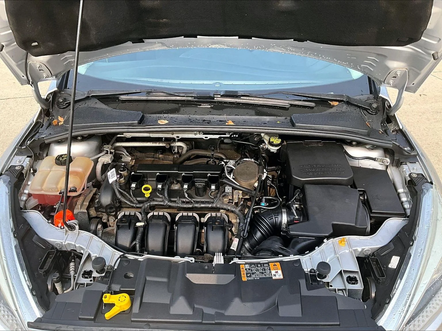 Used 2016 Silver Ford SE image 10