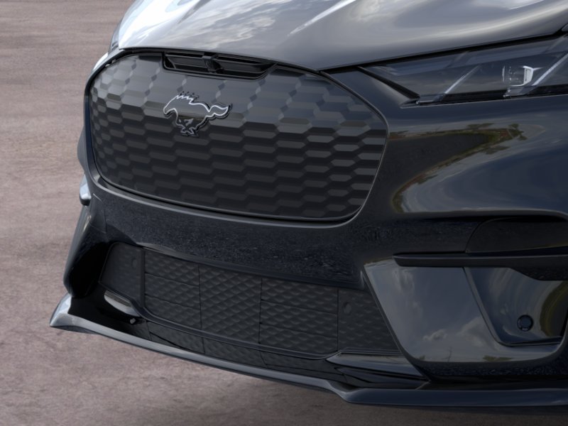 New 2026 Shadow Black Ford Premium image 17