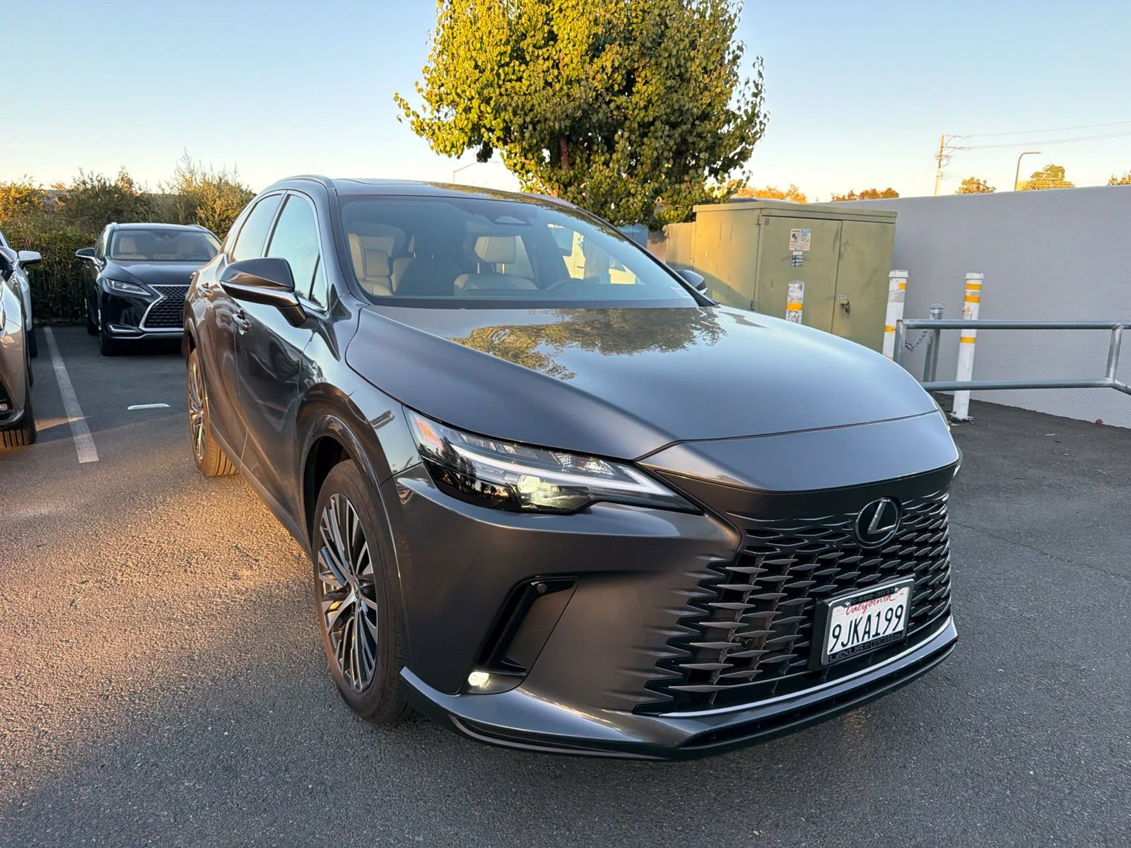 2024 Lexus RX