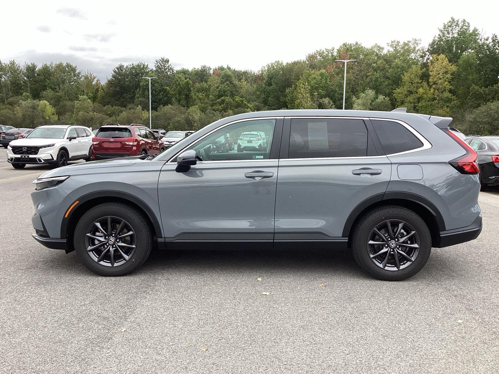 Used 2026 Urban Gray Pearl Honda EX-L image 4
