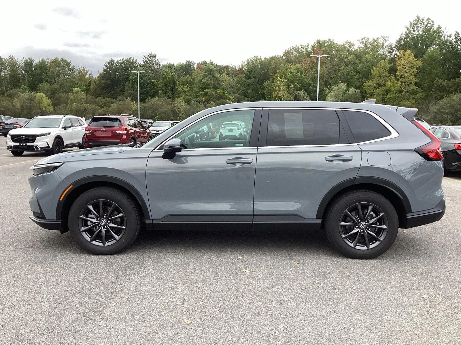 Used 2026 Urban Gray Pearl Honda EX-L image 4