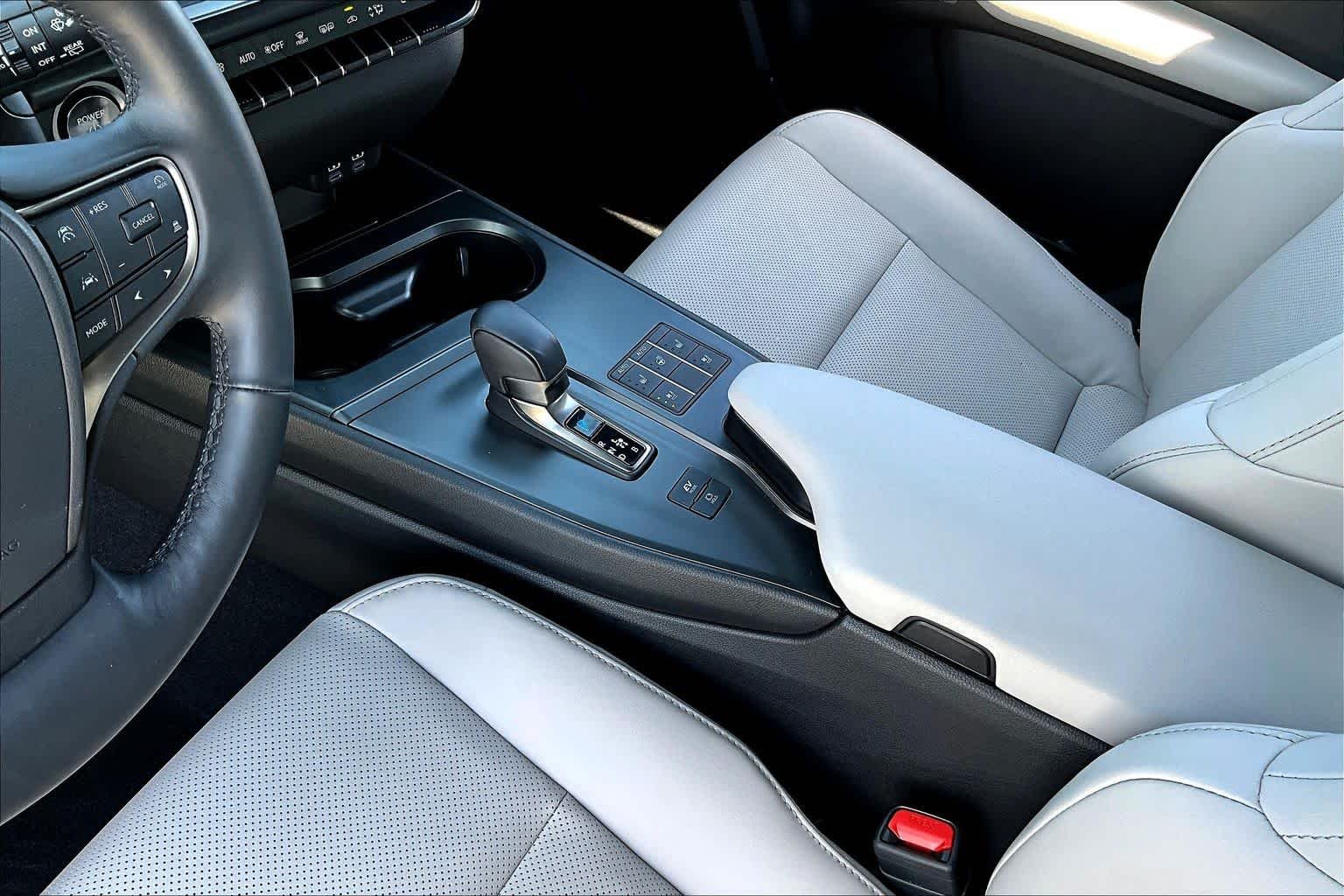 Used 2025 CLOUDBURST GRAY Lexus Premium image 14