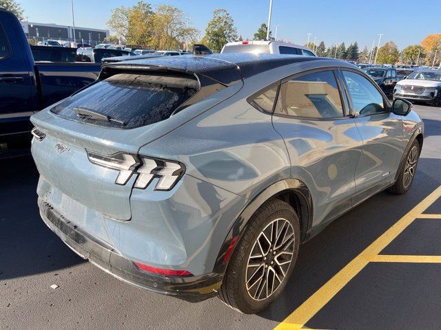 Used 2024 Blue Ford Premium image 2