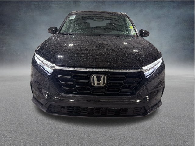 Used 2024 Black Honda LX image 2