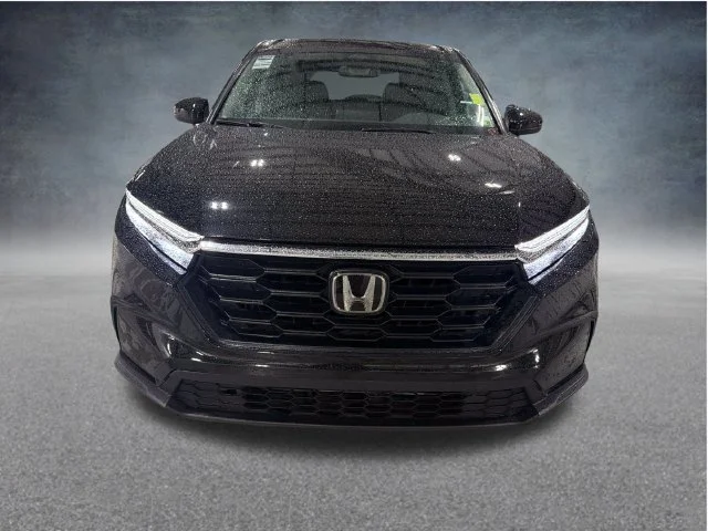 Used 2024 Black Honda LX image 2