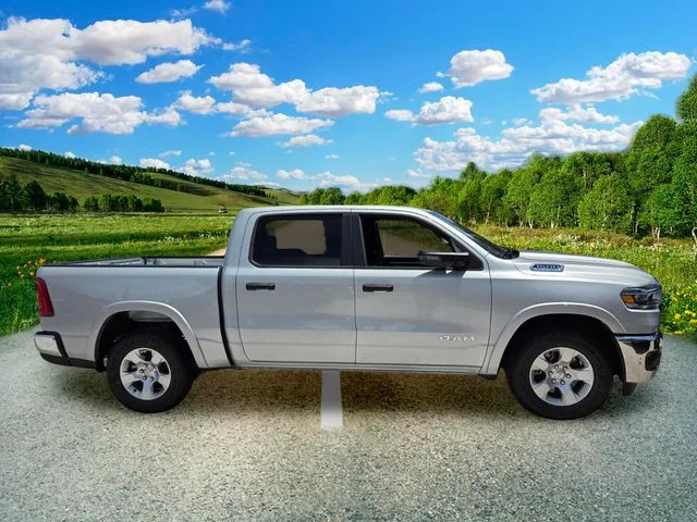 New 2026 Silver Zynith Exterior Paint RAM Big Horn/Lone Star image 8