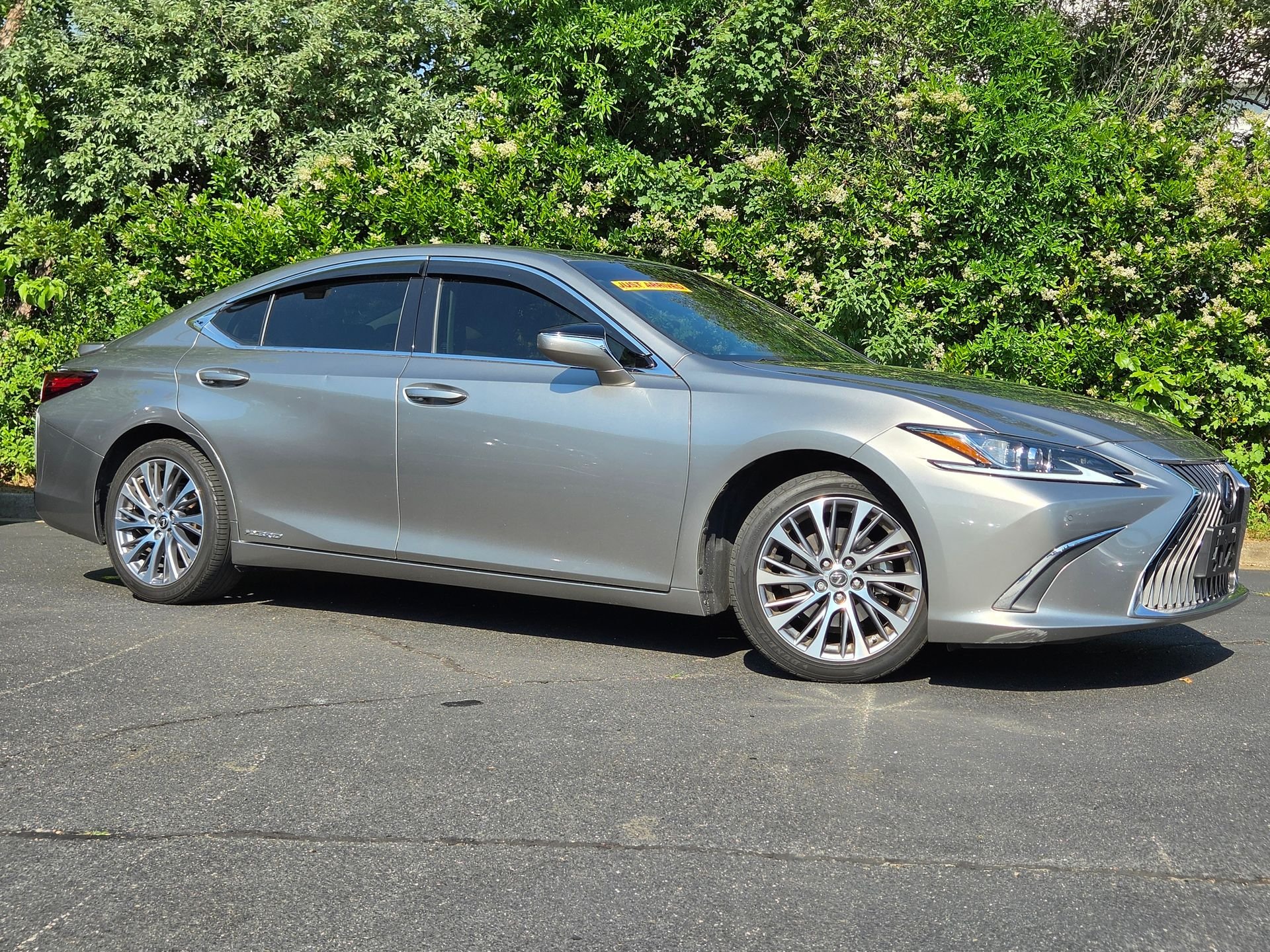 2020 Lexus ES 300h 300h's photo