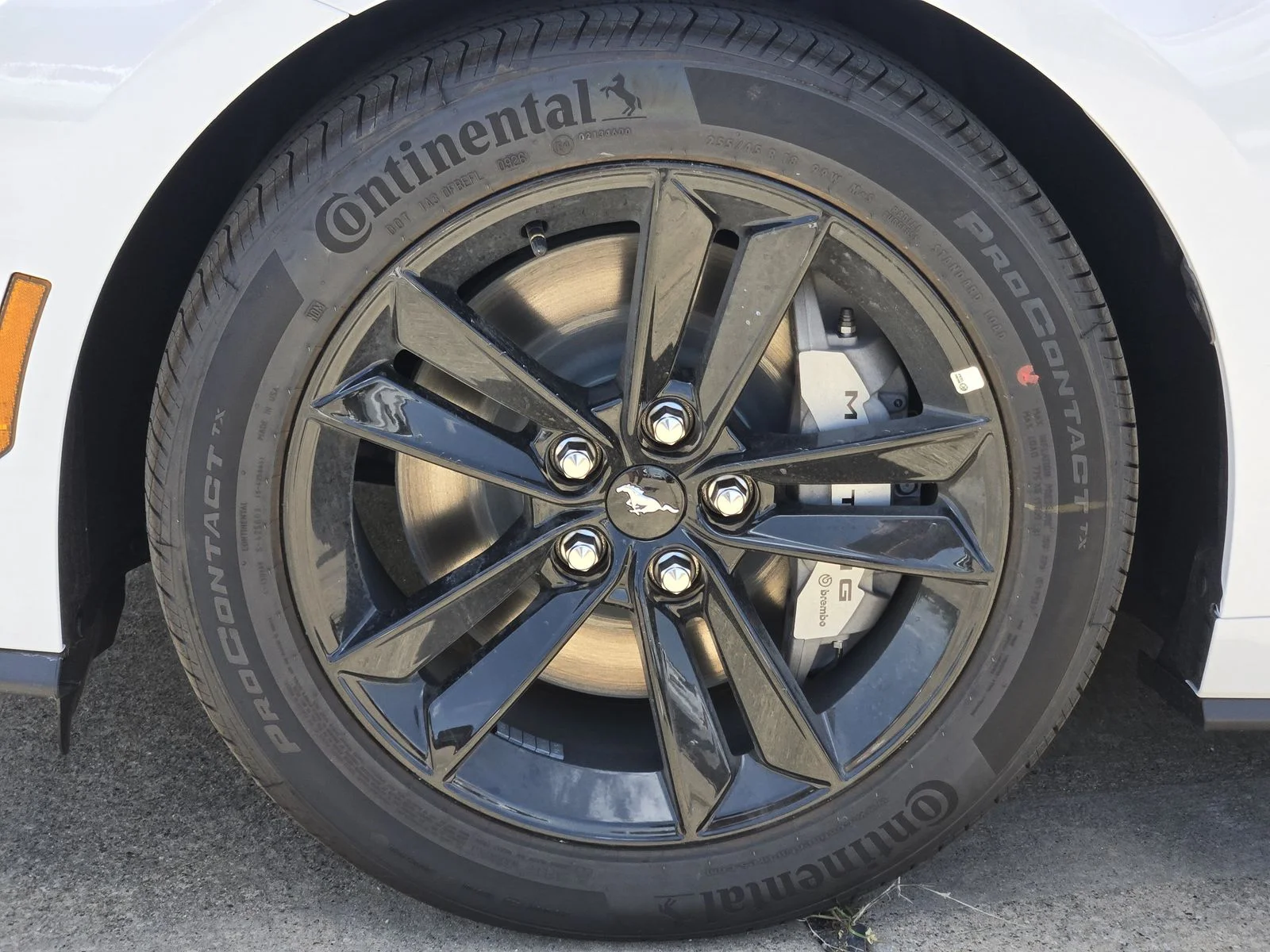 New 2026 Oxford White Ford GT Fastback image 7