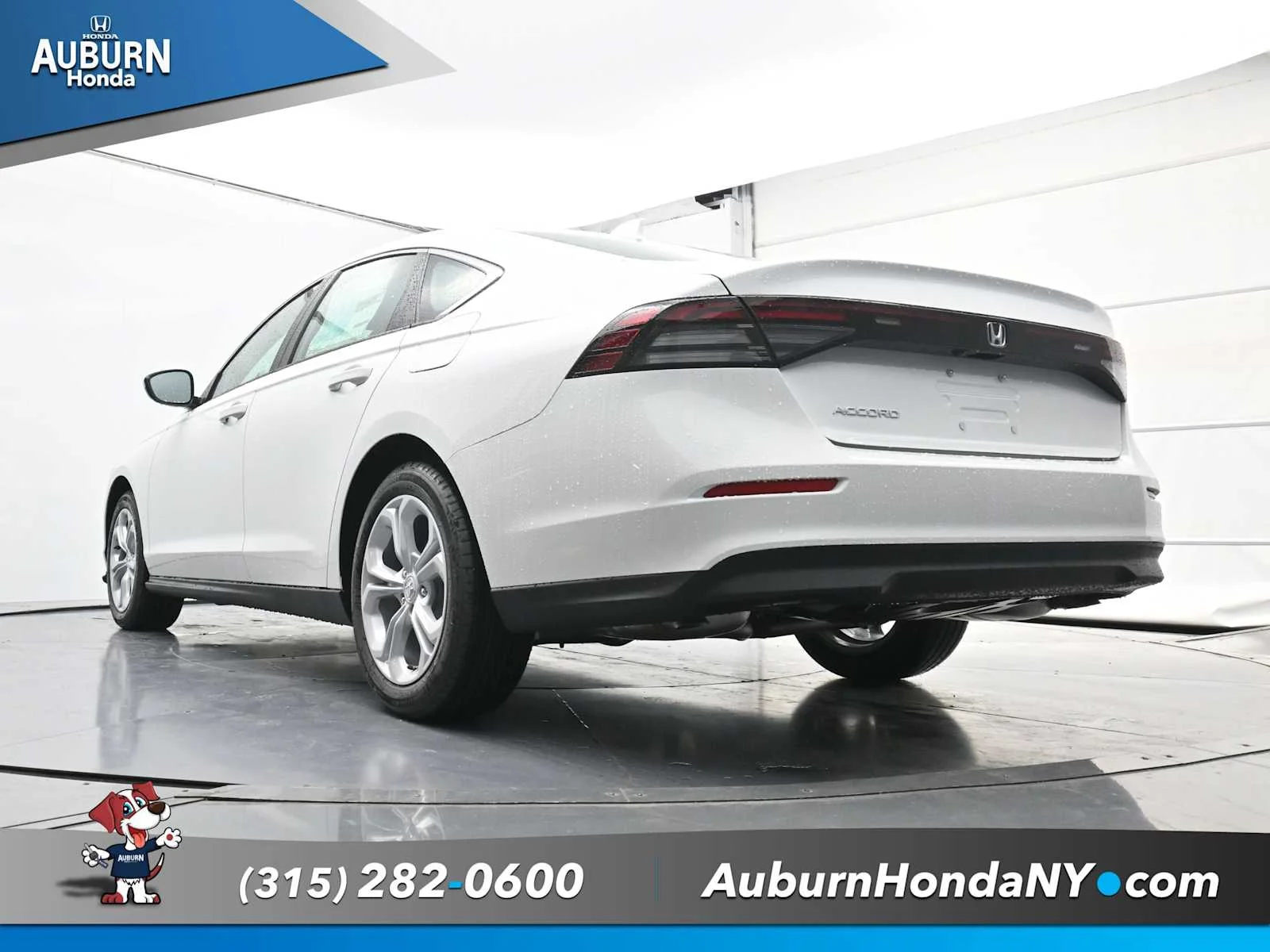 New 2025 Platinum White Pearl Honda LX image 20
