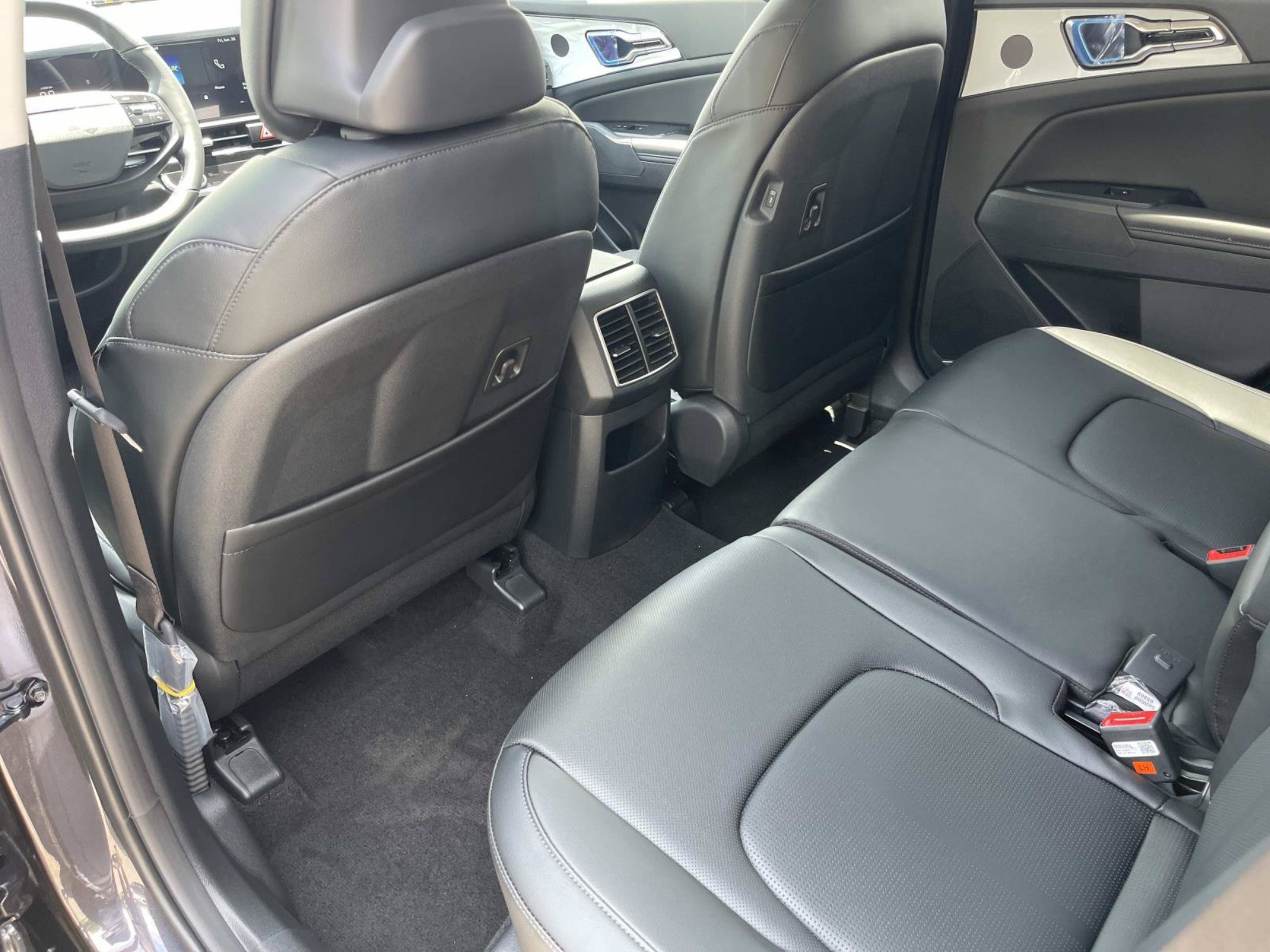 New 2026 Panthera Metal Gray Kia EX image 15