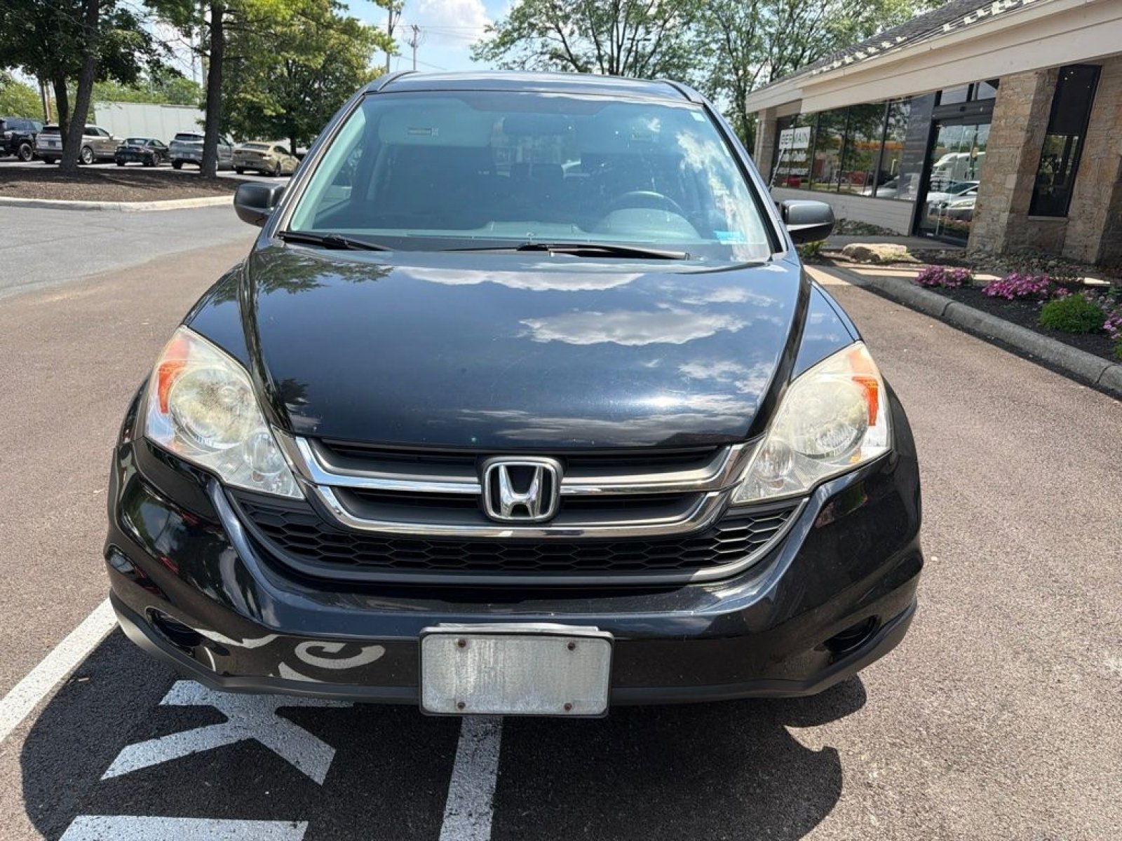 Used 2011 Crystal Black Pearl Honda SE image 3