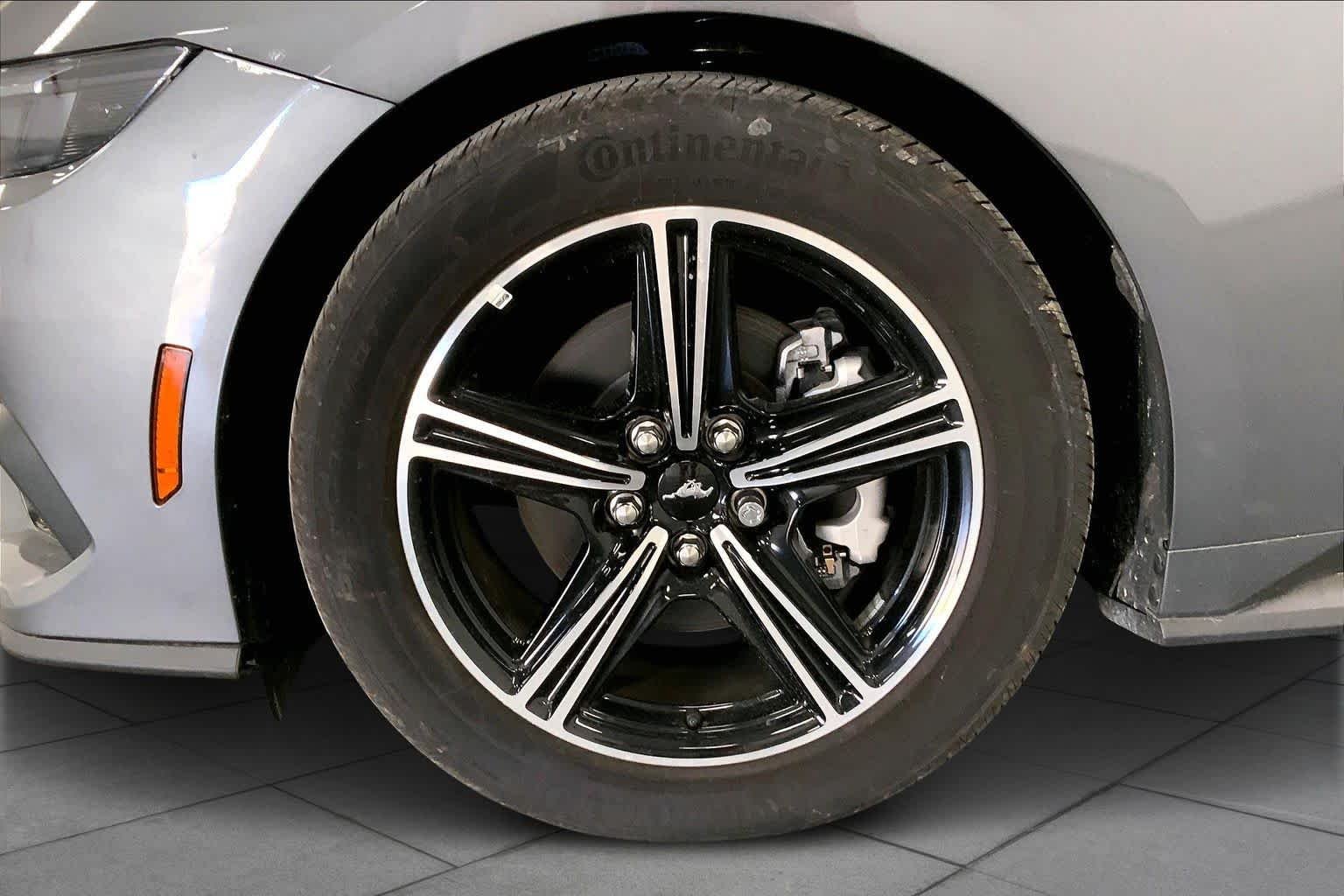 2025 Ford Mustang EcoBoost Fastback - Photo 9