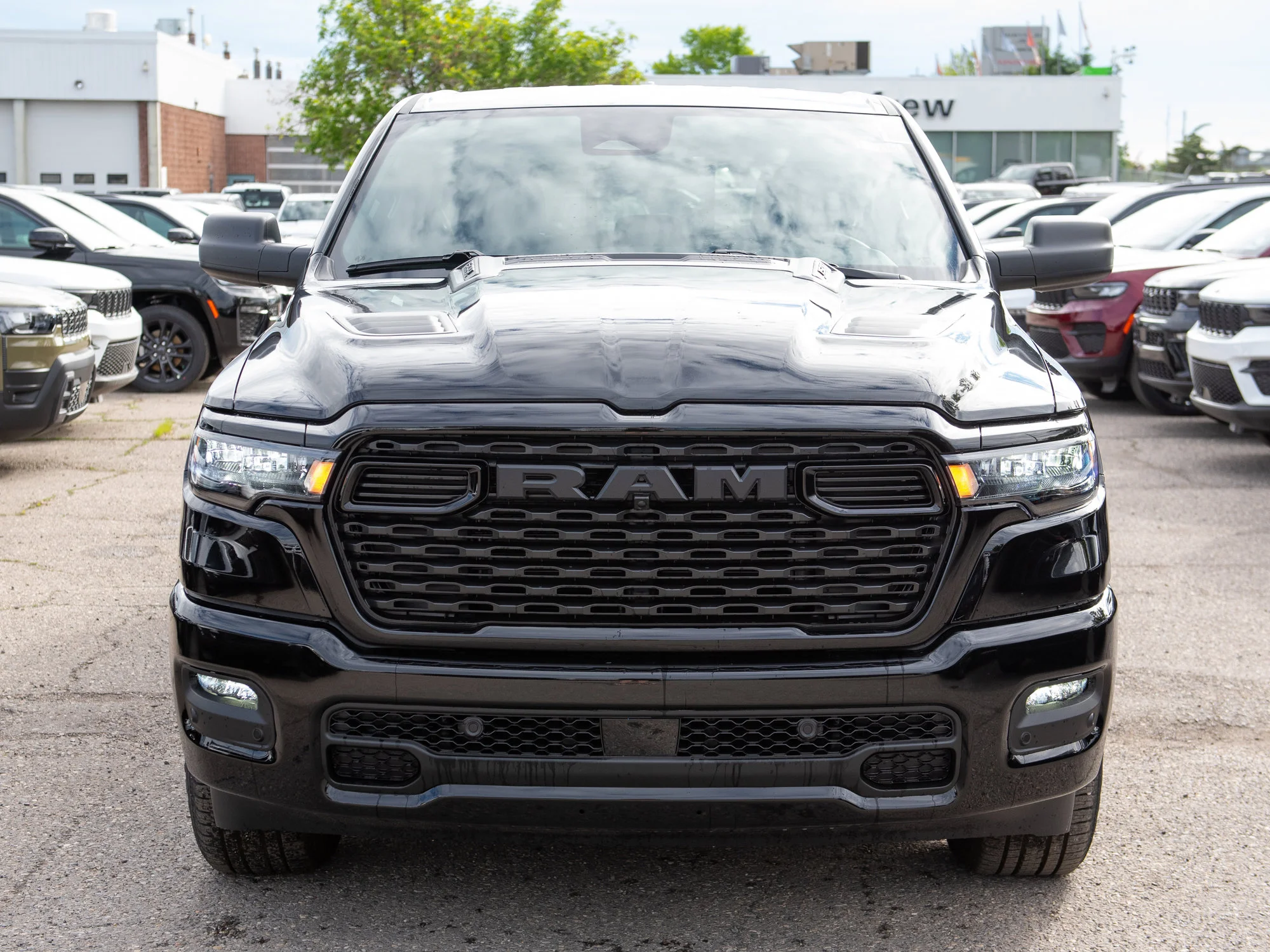 New 2026 Black RAM Express* image 8