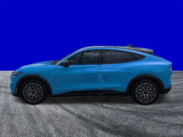Certified Used 2024 Grabber Blue Ford Premium image 7