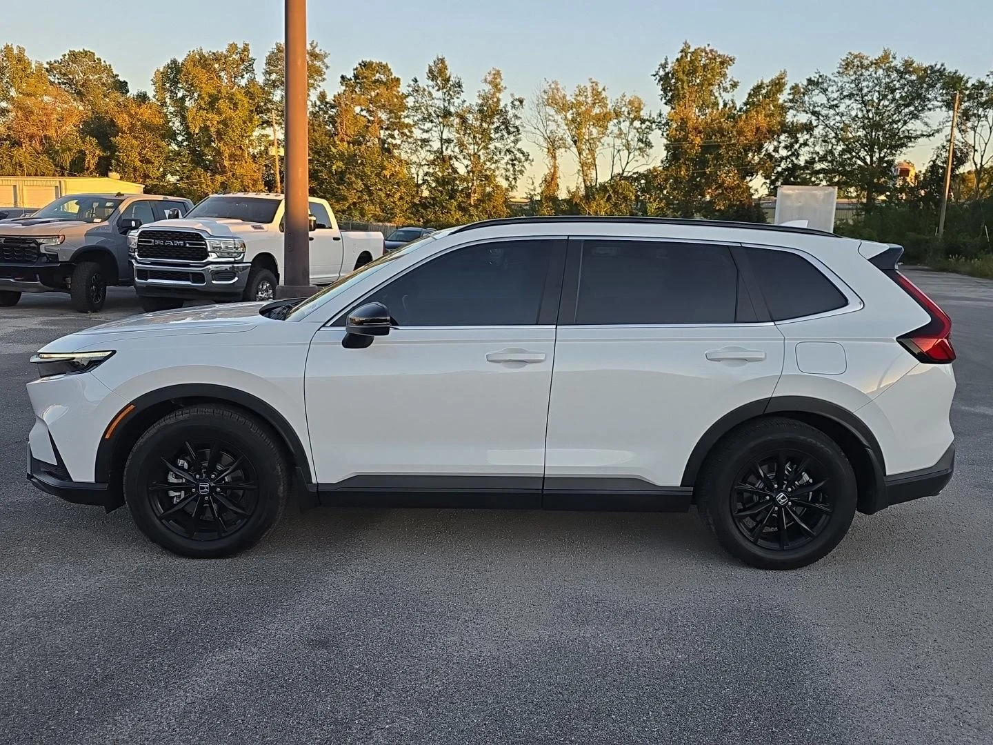 Used 2024 Platinum White Pearl Honda Sport-L image 8