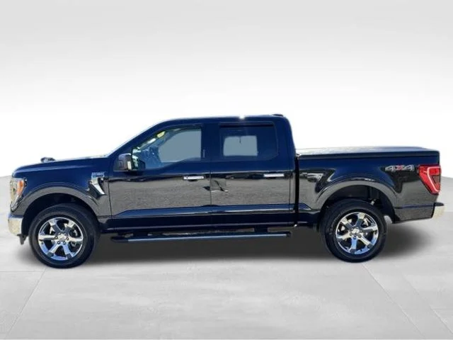 Used 2021 Blue Ford XLT image 4