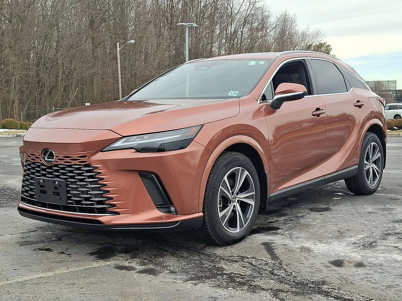 2025 Lexus RX 350 - Photo 3