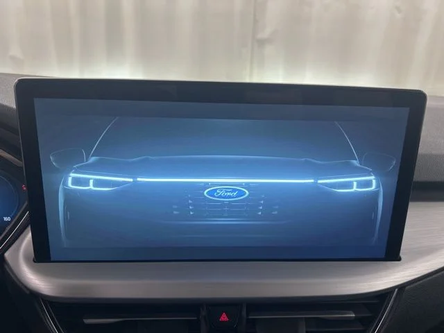 Used 2025 Black Ford Platinum image 15