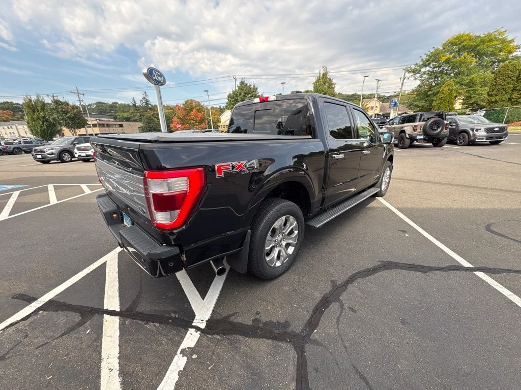 Used 2022 Black Ford Platinum image 14